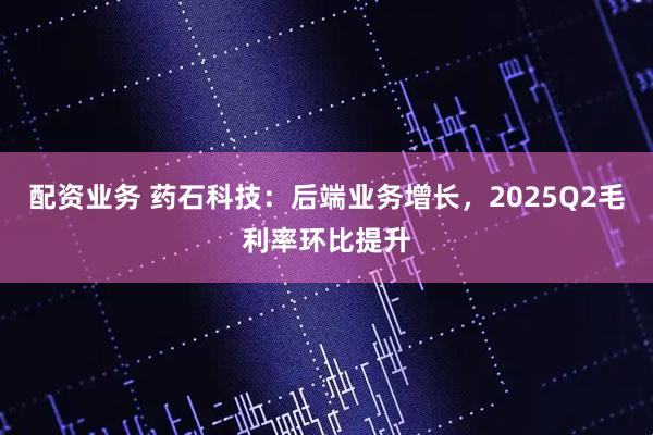 配资业务 药石科技：后端业务增长，2025Q2毛利率环比提升